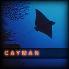 Cayman