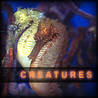 Creatures
