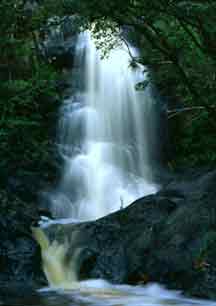 Reef Bay Waterfall